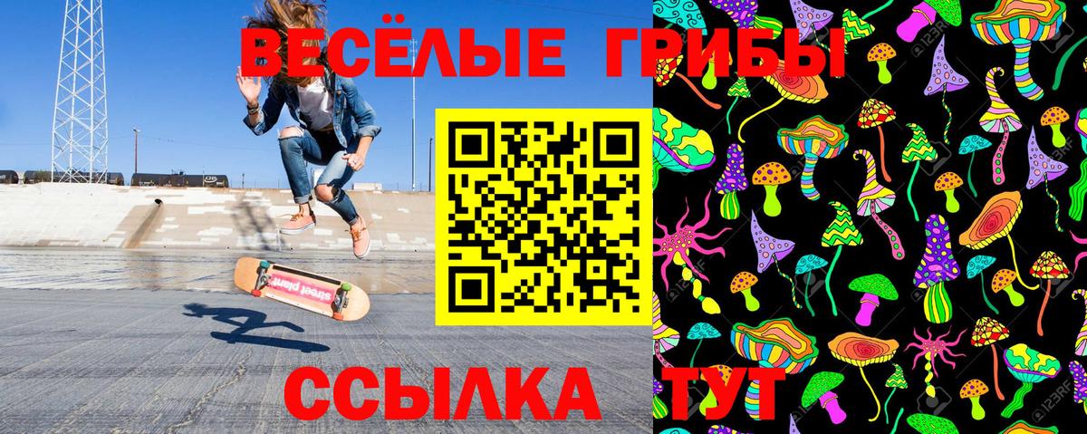 Псилоцибиновые грибы Magic Shrooms Качканар