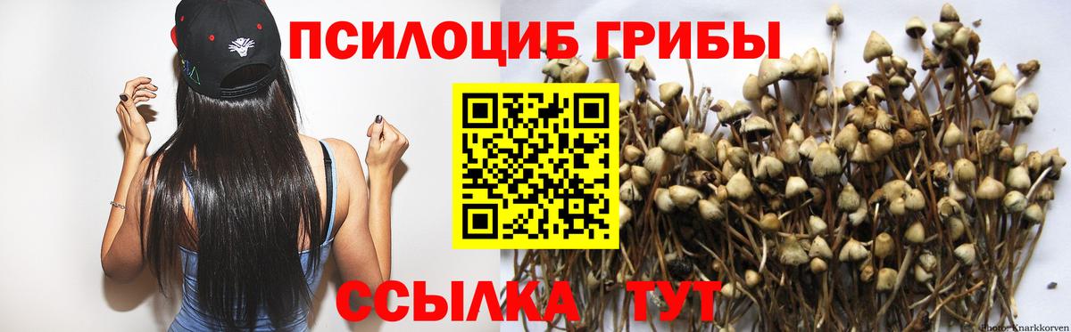 Псилоцибиновые грибы мицелий  Вход с VPN  Качканар 